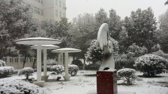 武汉市东西湖职业技术学校校园雪景